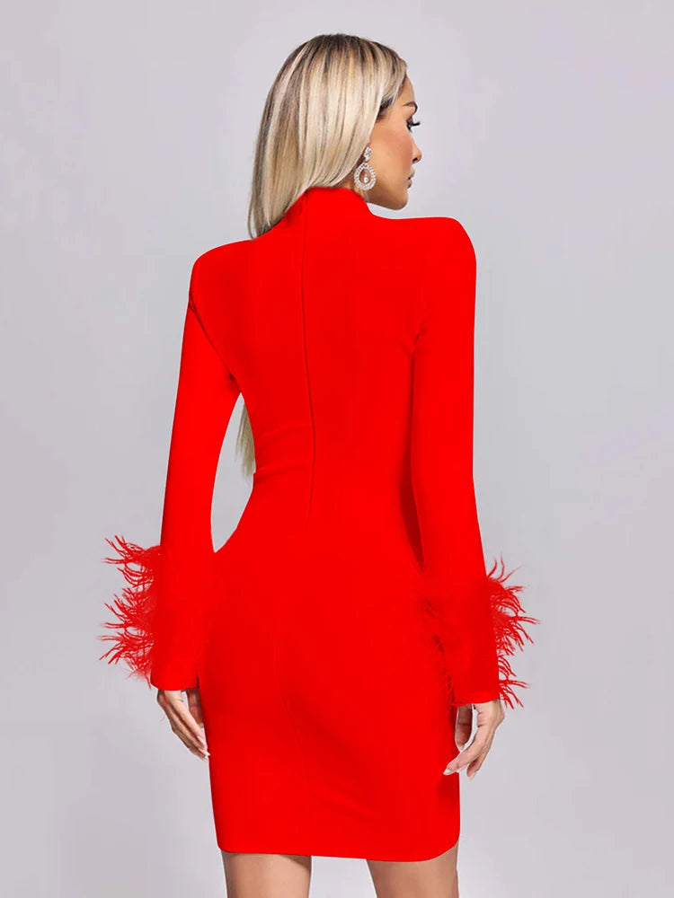 Modern Elegance Feather Accent Dress
