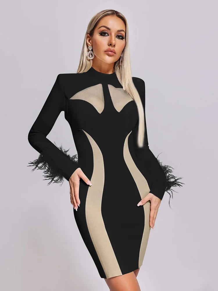 Modern Elegance Feather Accent Dress